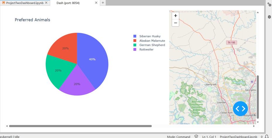 View of Pie Chart